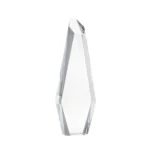 TROFEO WINNER - Imagen 3