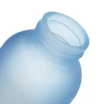 BOTELLA LAGUNA - Imagen 5